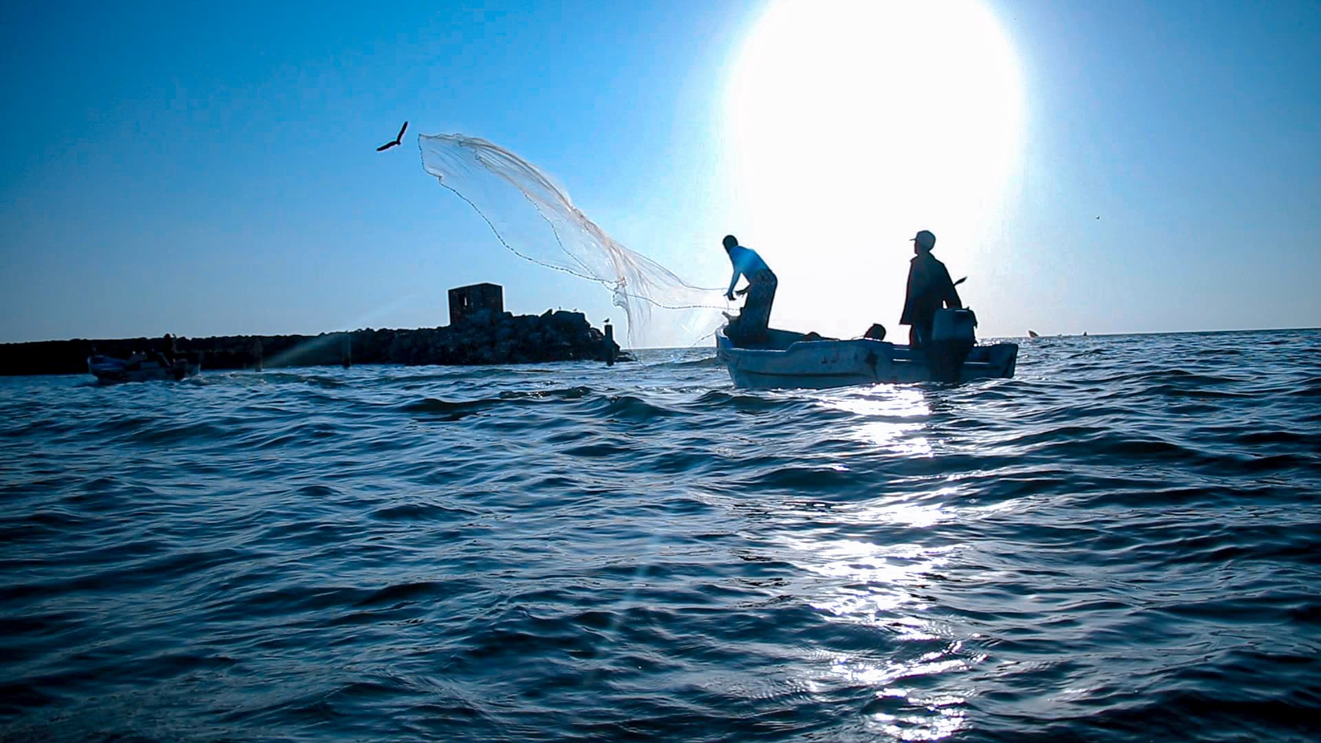 الحديدة على خريطة الاستثمار